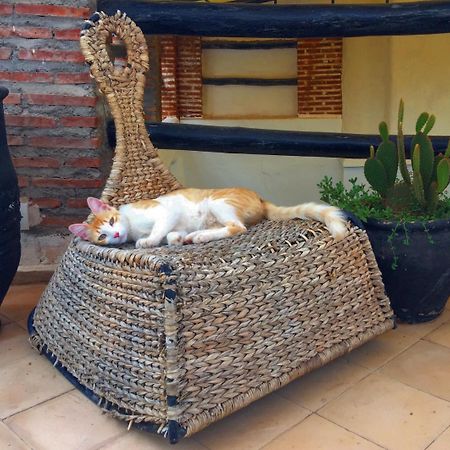 Riad Nejma Lounge Marrakesh Bagian luar foto