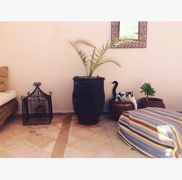Riad Nejma Lounge Marrakesh Bagian luar foto