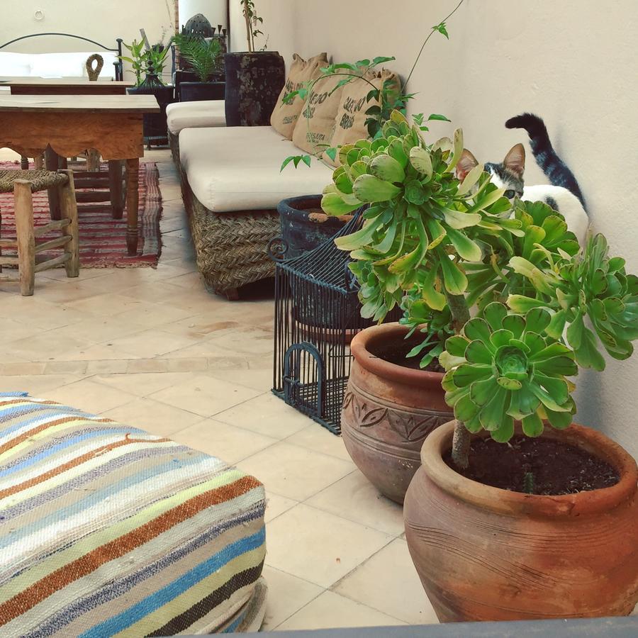 Riad Nejma Lounge Marrakesh Bagian luar foto